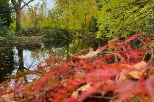 Ihr Haus am "See" – Mehrgenerationenwohnen im Grünen mit riesigem Teich und Schwimmbad – Die vollständige Adresse der Immobilie erhältst du vom Anbieter., 47906 Kempen – Vorschaubild 36