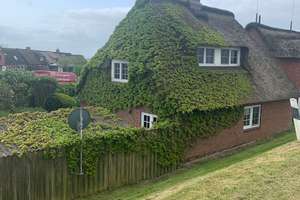 Halbinsel Nordstrand - Romantisches Reetdachhaus direkt am Deich: IHR NEUES FERIENHAUS ! – Die vollständige Adresse der Immobilie erhältst du vom Anbieter., 25845 Nordstrand – Vorschaubild 3