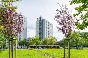 2-Zimmer-Wohnung mit Weitblick! Bequem in die 11. Etage - wir renovieren! – Albert-Wolf-Platz 2, 1239 Prohlis-Süd, Dresden – Vorschaubild 8