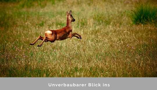 Bild von Einmalige Chance - mitten in der Natur und doch gut angebunden