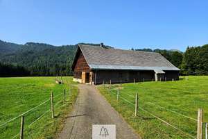 Einzigartiges Naturjuwel in den Allgäuer Alpen – anerkannte Alpe mit Wald- und Weideflächen – Die vollständige Adresse der Immobilie erhältst du vom Anbieter., 87538 Balderschwang – Vorschaubild 2
