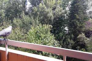Helle 1-Zimmer Wohnung mit Balkon im 3. OG in Stuttgart-Möhringen, nahe Uni Vaihingen – Ebinger Weg 0, 70567 Möhringen-Nord, Stuttgart – Vorschaubild 6