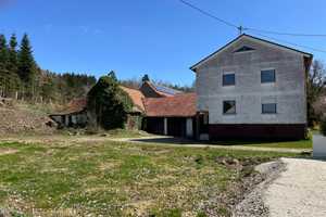 Ehem. Hofstelle mit Wiese und Gehölz, ca. 6590m² bei Rain - Ortsteil – Donau-Ries (Kreis) – Vorschaubild 1