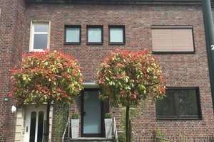 Stilvolles Wohnen in Bestlage: 2-Zimmer-Wohnung mit Garten, Balkon & Design-Küche in Düsseldorf-Graf – Altenbergstraße 46, 40235 Grafenberg, Düsseldorf – Vorschaubild 19
