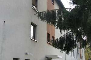1-Zimmer-Wohnung mit Keller – Brunnenweg 29, 64297 Eberstadt, Darmstadt – Vorschaubild 2
