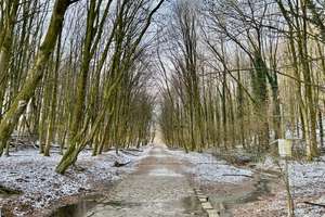 Property thumbnail 21