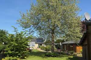 Traumhaus! - Pool, Sauna, Kamin, Solarthermie, Photovoltaik und vieles mehr – Celle (Kreis) – Vorschaubild 19