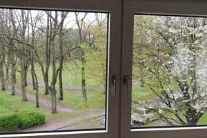 Traumhafte schöne 2 Zimmer Wohnung in Düsseldorf-Wittlaer zu vermieten!!! – Bergesweg 17, 40489 Wittlaer, Düsseldorf – Vorschaubild 3
