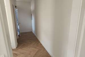 Neu renovierte Altbauwohnung: 2-Zimmer in St. Johannis – Jagdstraße 13, 90419 St. Johannis, Nürnberg – Vorschaubild 2