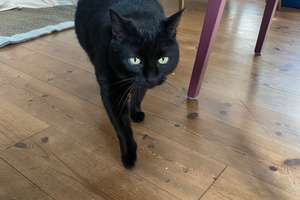 Property thumbnail 11