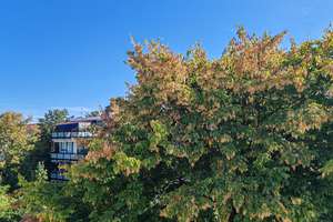Wünderschönes 1-Zimmer Apartment mit Balkon & Einbauküche – U2 Milbertshofen – Christoph-von-Gluck-Platz 20, 80807 Milbertshofen, München – Vorschaubild 7