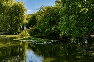 Idyllisches Wohnen in traumhafter Lage von Alt-Solln – Die vollständige Adresse der Immobilie erhältst du vom Anbieter., 81479 Solln, München – Vorschaubild 8