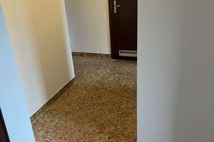 Modernes Wohnen: 2-Zimmer-Dachgeschosswohnung in Köln-Höhenberg – Kulmbacher Str. 8, 51103 Höhenberg, Köln – Vorschaubild 5