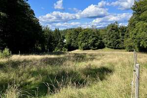Pferdehof / Bauernhof mit 18.000 m2 nähe Tittling TOP LAGE an der B-85 – Die vollständige Adresse der Immobilie erhältst du vom Anbieter., 94163 Saldenburg – Vorschaubild 34