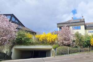 Property thumbnail 16