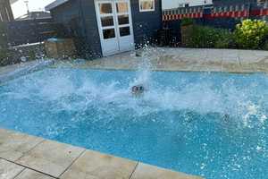 Familienfreundliches Einfamilienhaus mit Pool, Gartenparadies & Top-Ausstattung in Tappenbeck – Gifhorn (Kreis) – Vorschaubild 6