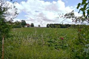 Großzügiges Einfamilienhaus direkt am Feld! – Die vollständige Adresse der Immobilie erhältst du vom Anbieter., 38527 Meine – Vorschaubild 3