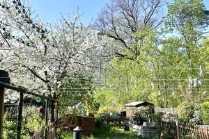Saniertes Reihenhaus mit eigenem Garten für 
Ihre kleine Familie! Direkt an der jungen Heide! – Dresden – Vorschaubild 12
