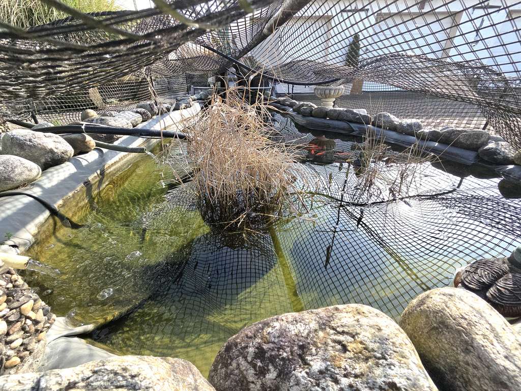 Immobilie in Mainhausen - 3-Familienhaus mit WEG-Teilung in ruhiger Lage von Mainhausen zu verkaufen - Bild 4