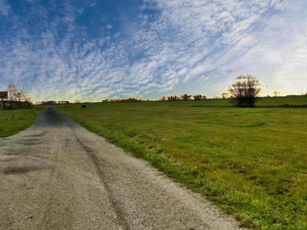 Immobilie in Uebigau-Wahrenbrück - Alleinlage  mit großem Grundstück - Bild 3