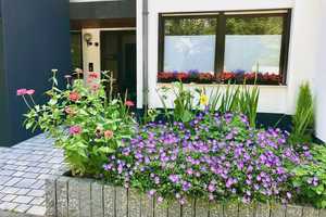 Großzügiges Haus mit Garten nähe Klinikum – Fulda (Kreis) – Vorschaubild 1