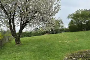 Hier kann man sich entspannen! Großzügiges Einfamilienhaus mit Raum für Visionen in ländlicher Lage – Rhein-Sieg-Kreis – Vorschaubild 15