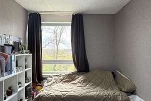 Hervorragend geschnittene 4-Zimmer-Wohnung mit Balkon nahe des LVM-Preußenstadions in Münster! – Die vollständige Adresse der Immobilie erhältst du vom Anbieter., 48153 Berg Fidel, Münster – Vorschaubild 6