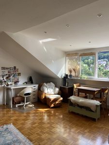 Saniertes 1-Zimmer-Apartment in Heidelberg-Ziegelhausen