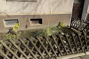 Großzügige Altbauwohnung mit Balkon und viel Gestaltungspotenzial – sofort verfügbar – Die vollständige Adresse der Immobilie erhältst du vom Anbieter., 45888 Bulmke-Hüllen, Gelsenkirchen – Vorschaubild 55