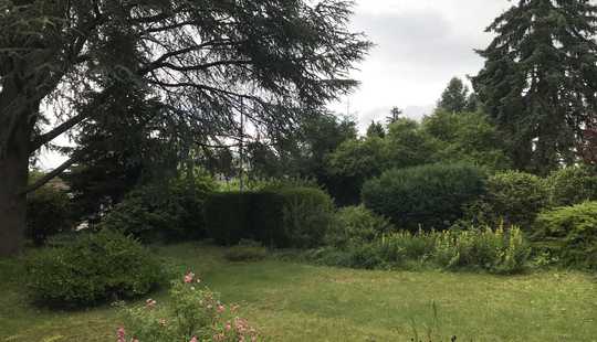 Bild von Freistehendes Einfamilienhaus in bester Lage in Bad Soden am Taunus