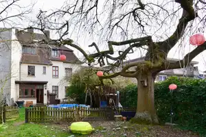 Beeindruckendes 3-Familienhaus im Herzen von Mönchengladbach-Holt – Mönchengladbach – Vorschaubild 23