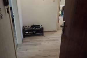 Wohnung am Rheinufer in Duisburg