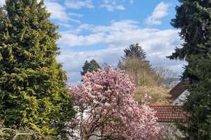 Gemütliche Altbauwohnung hell renoviert 76m² 3-Zi, Kü, Bad, Garten Zentrum Herforde Str. – Die vollständige Adresse der Immobilie erhältst du vom Anbieter., 33609 Mitte, Bielefeld – Vorschaubild 10