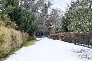 Property thumbnail 38