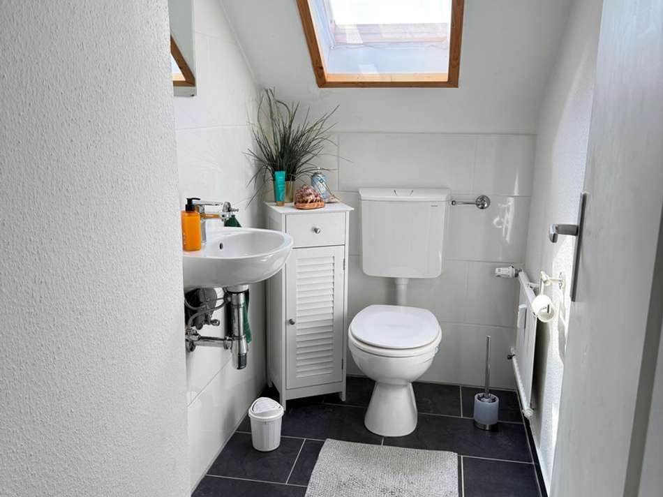 WC DG