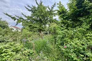 Altes Haus – Neue Ideen: Ihr Projekt im Herzen von Nordenham – Wesermarsch (Kreis) – Vorschaubild 5