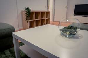 Helle 2-Zimmer Wohnung mit Balkon in Kassel-West – Wilhelmshöher Allee 38A, 34119 West, Kassel – Vorschaubild 4