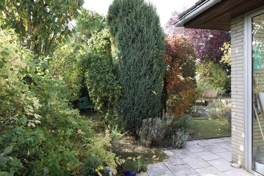 Immobilie in Elze - Platz für die ganze Familie, mit großer Ausbaureserve! - Bild 3