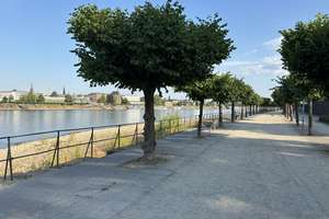 RHEINZAUBER Beuel !!
Hochwertige 3-Zimmer-WHG !
Ideal für Best-Ager !
Nur 150 m vom Rhein entfern