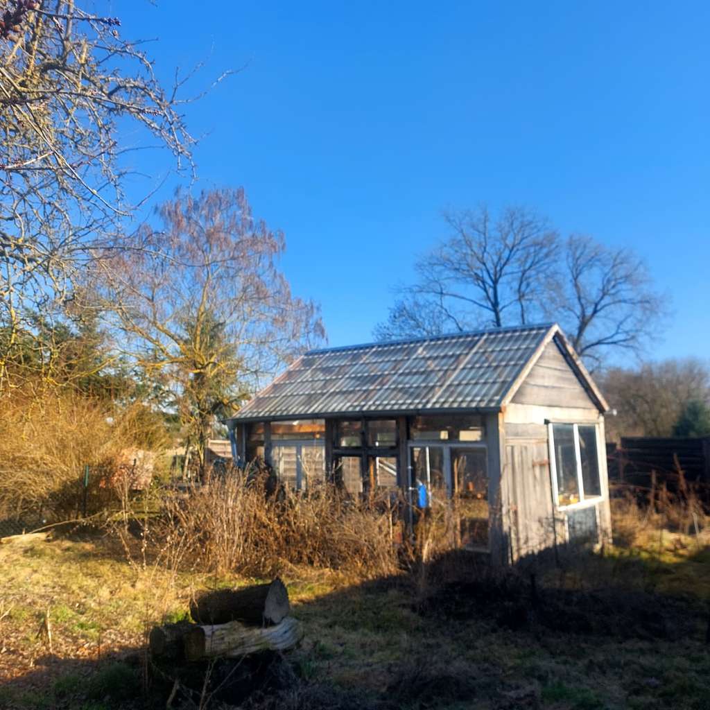 Immobilie in Letschin - Solides Einfamilienhaus mit Entwicklungspotenzial in Letschin - Bild 3