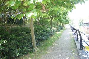 Property thumbnail 14