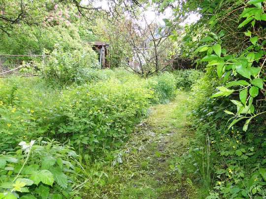 Gemütliches Siedlungshaus in Berlin-Britz, nahe dem Britzer Garten - Bild 23