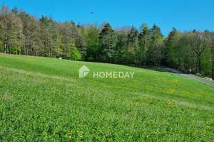 Reiterparadies am Steigerwald – saniertes Bauernhaus mit  Offenstallanlage und Ausbaureserve – Die vollständige Adresse der Immobilie erhältst du vom Anbieter., 96181 Rauhenebrach – Vorschaubild 31