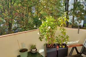 Property thumbnail 8