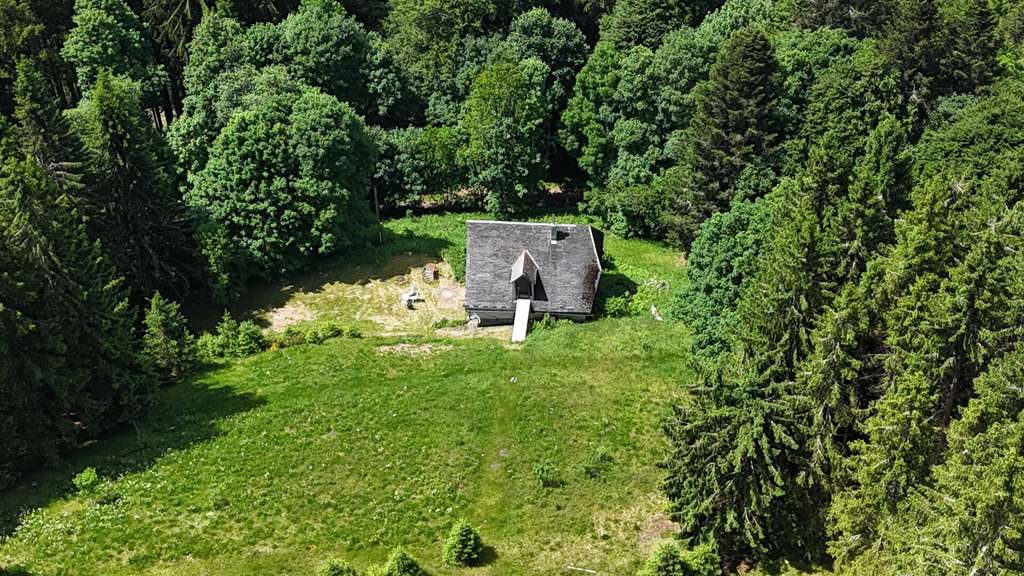 Immobilie in Furtwangen im Schwarzwald - Schwarzwaldhaus in einzigartiger Alleinlage – Ruhe, Natur und Privatsphäre pur - Bild 1