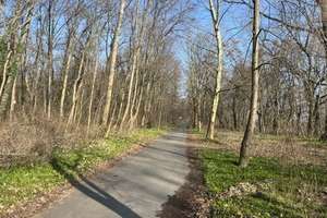Charmante Wohnung in grüner Lage nahe Treptower Park – Die vollständige Adresse der Immobilie erhältst du vom Anbieter., 12437 Baumschulenweg, Berlin – Vorschaubild 7