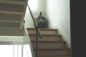 Sehr  gepflegtes 2 Familienhaus mit  sehr viel Platz für 2  Familien – Behringstraße 2, 64291 Wixhausen, Darmstadt – Vorschaubild 48
