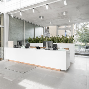 Nutze eine professionelle Geschäftsadresse für dein Unternehmen in Spaces Kennedydamm