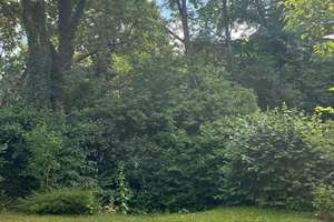 Lichtdurchflutete 3-Zimmer-EG Wohnung in Pasing-Obermenzing mit kleinem Garten – Die vollständige Adresse der Immobilie erhältst du vom Anbieter., 81245 Neupasing, München – Vorschaubild 14