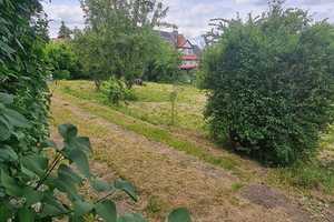 Einfamilienhaus in guter Lage von Erfurt. – Erfurt – Vorschaubild 4